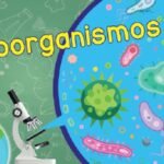 Microorganismos: 9 Beneficios En Salud Y Medio Ambiente